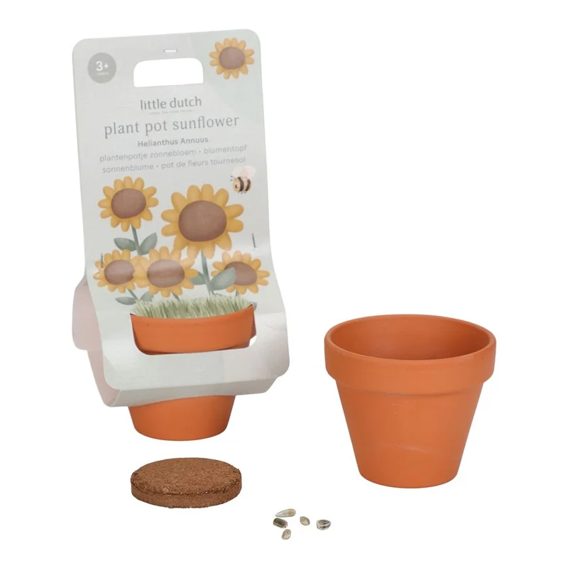 Maceta planta un Girasol · Little Dutch