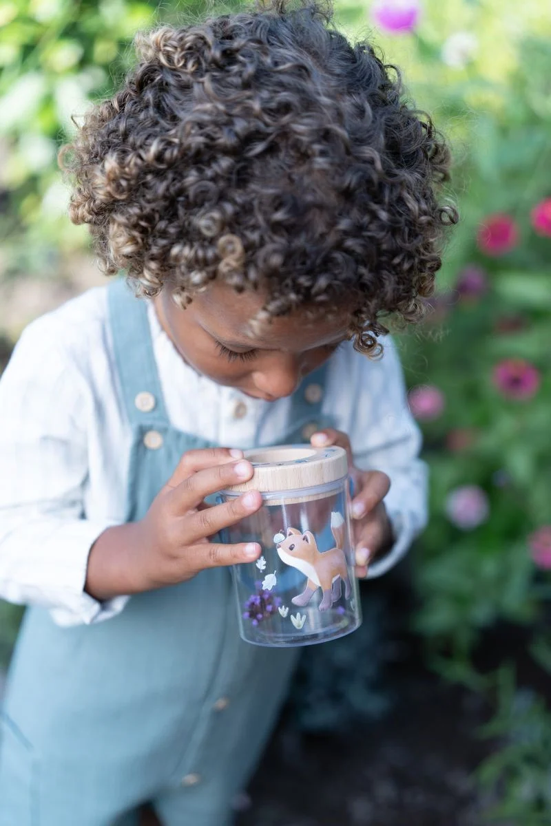 Tarro para insectos Forest Friends FSC · Little Dutch