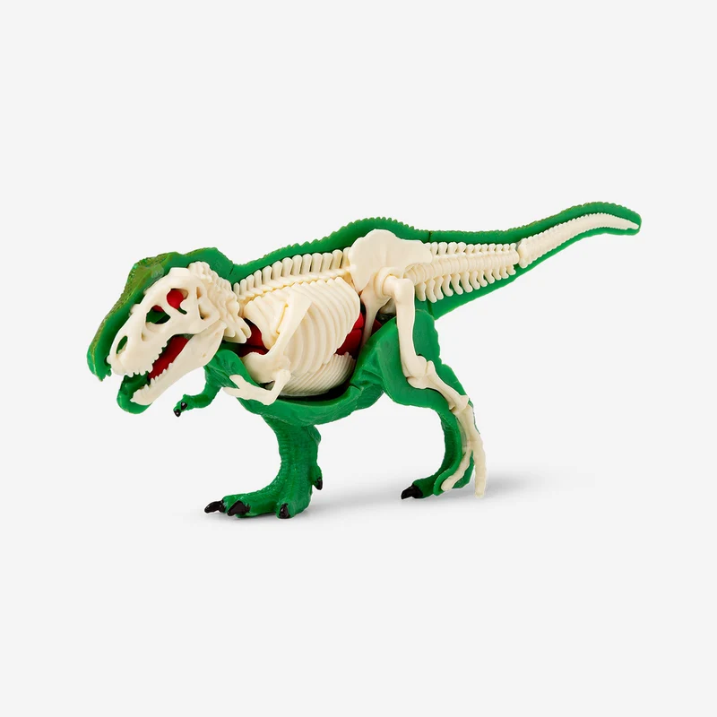 DIY 3D anatomical T-Rex puzzle