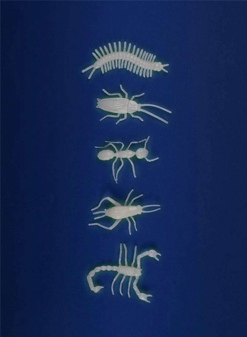 Insectos Fluorescentes · Moulin Roty