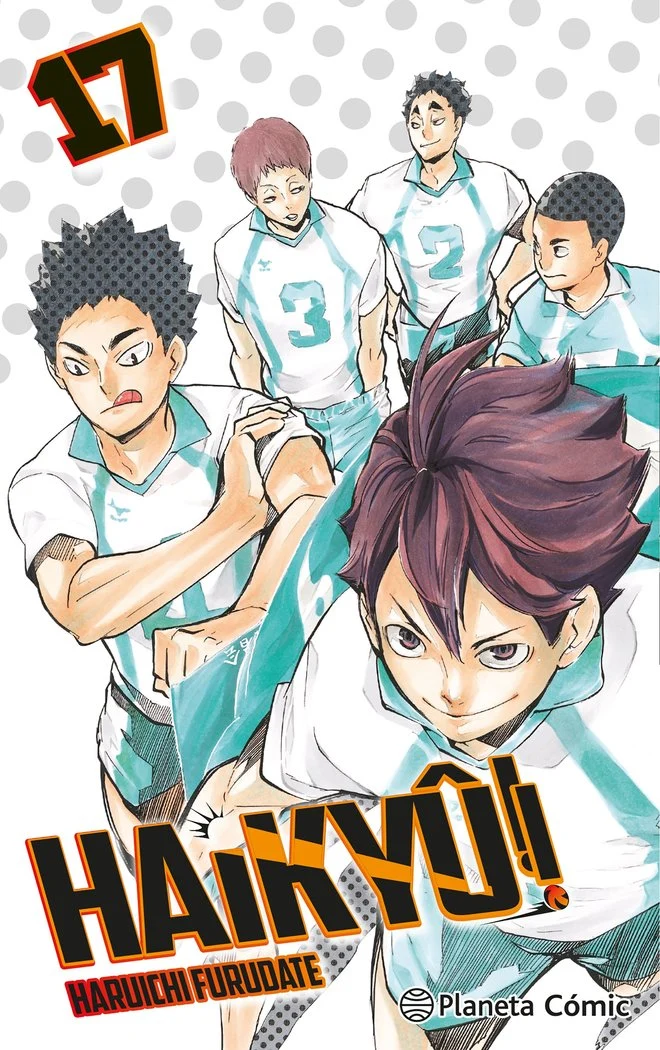 Haikyu 17 (ES)
