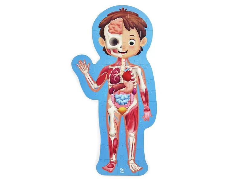 Puzzle Cuerpo Humano · Hape