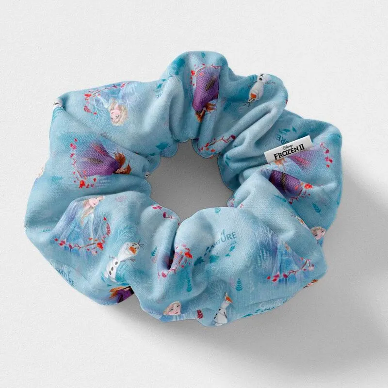 Blister 5 Coleteros Frozen - Disney