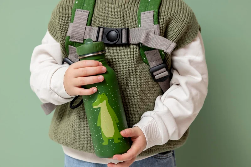 Botella Acero Mr. Alligator 500ml · Trixie
