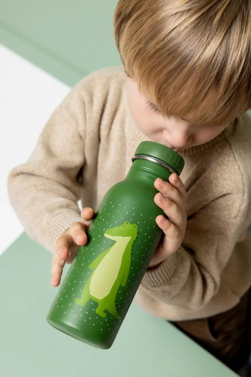 Botella Acero Mr. Alligator 500ml · Trixie