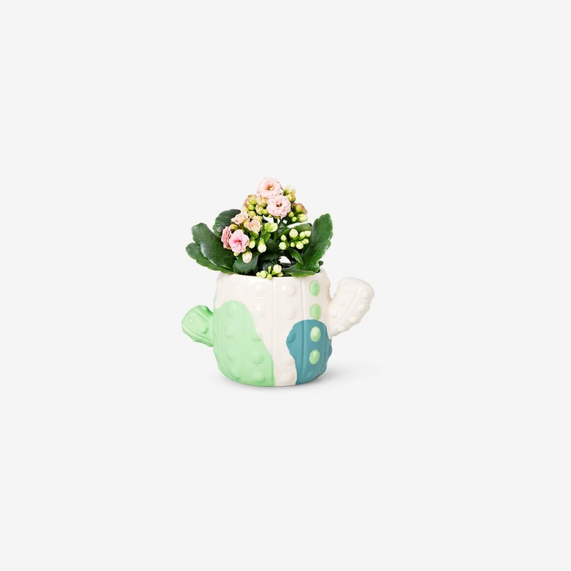 DIY cactus plant pot