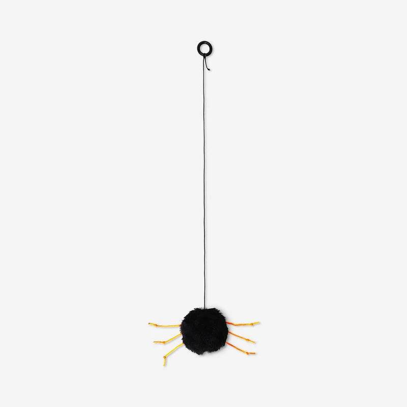 Pet toy - Spider on a string