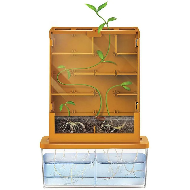 GreenScience Haz crecer tus plantas Laberinto · 4M