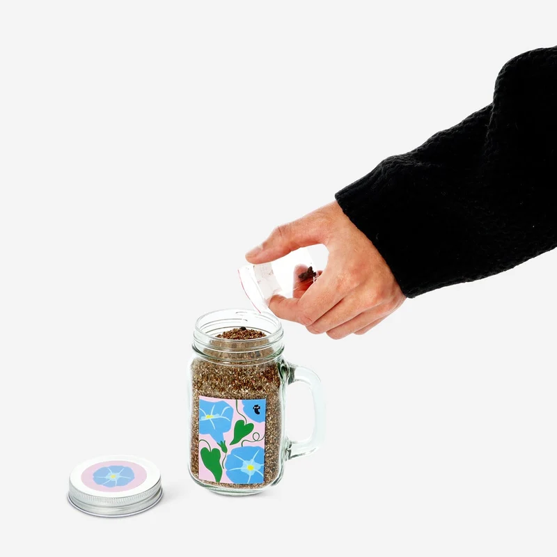 Jar grow kit. Morning glory