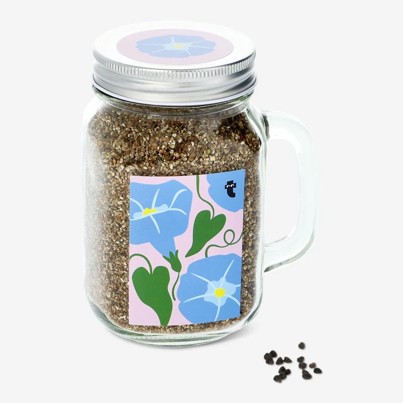 Jar grow kit. Morning glory