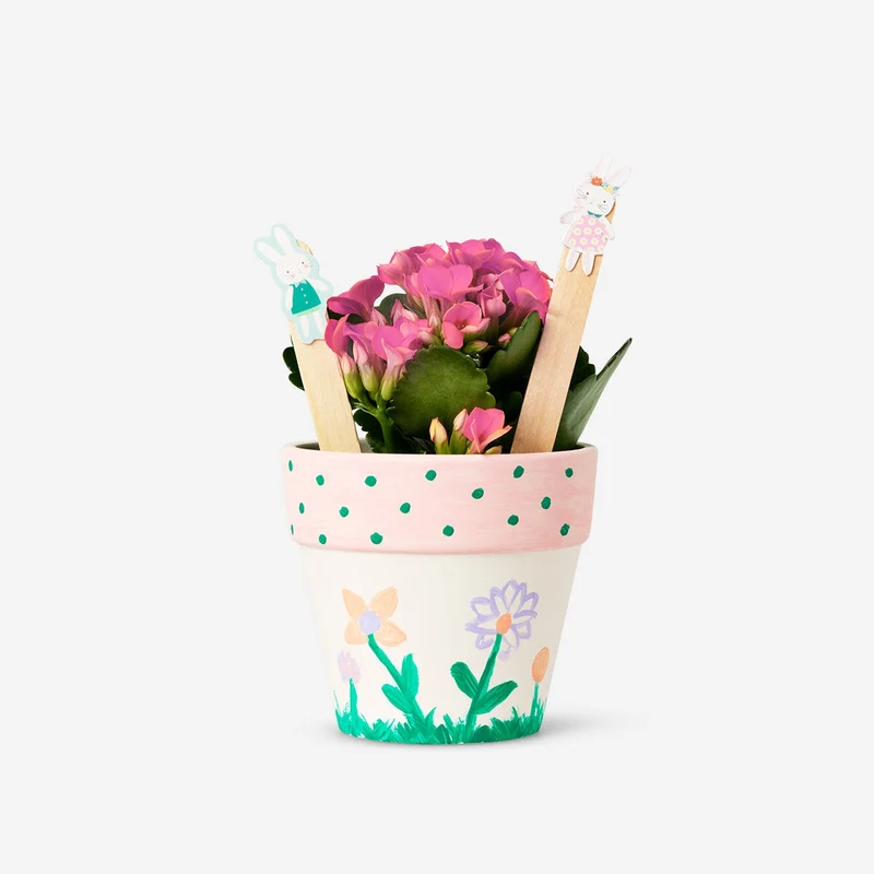 Paint-your-own plant pot