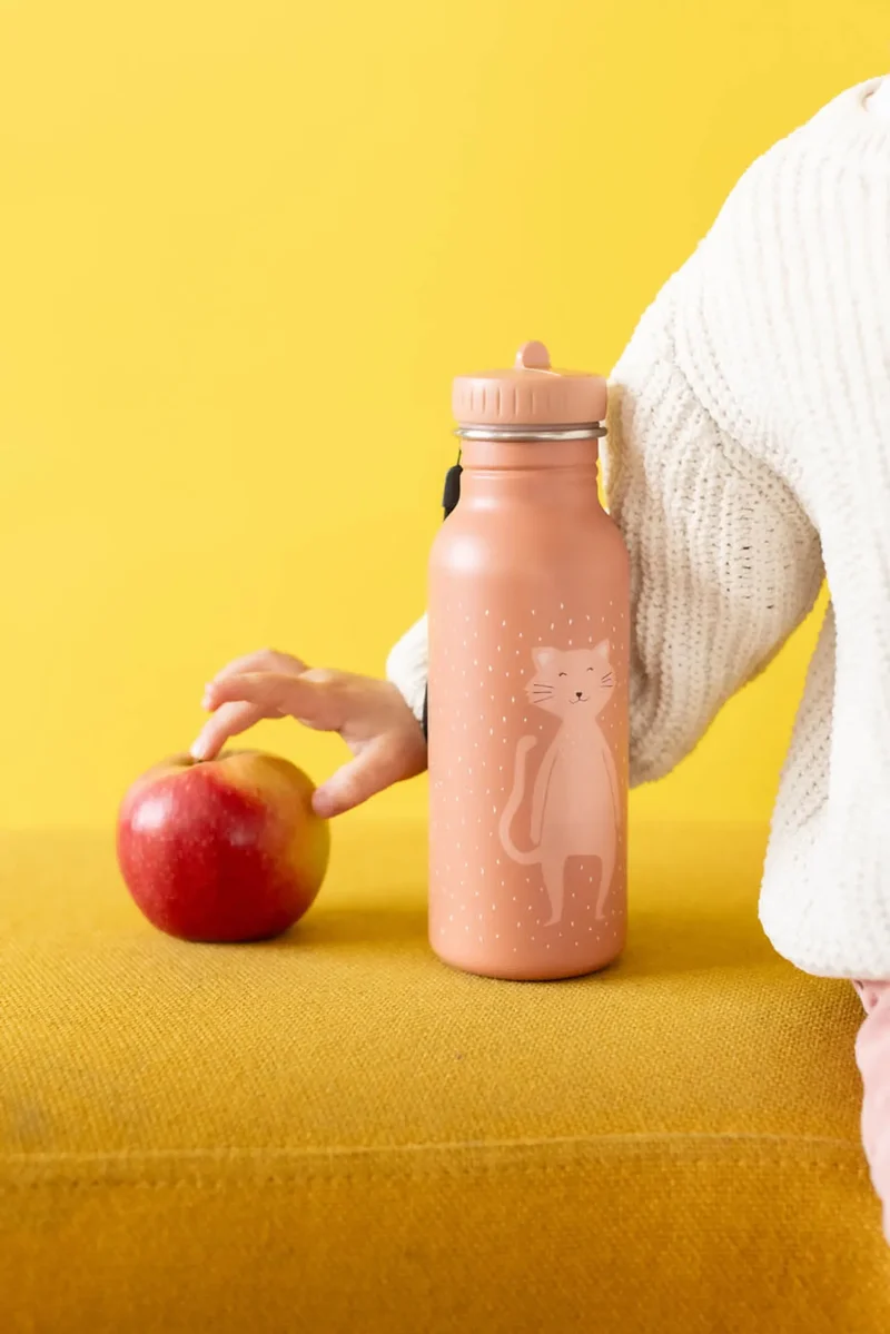 Botella Acero Cat 500ml · Trixie