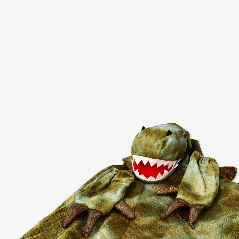 Dinosaur costume. 4-8 years