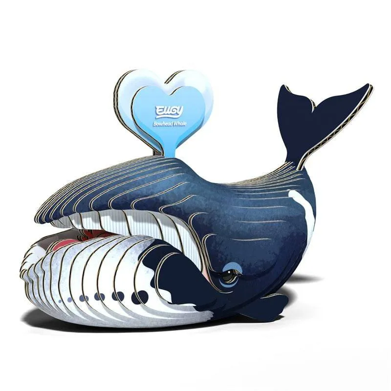 EUGY · Ballena de Groenlandia