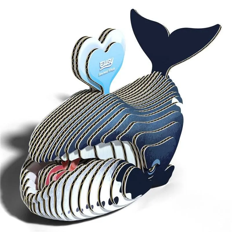 EUGY · Ballena de Groenlandia