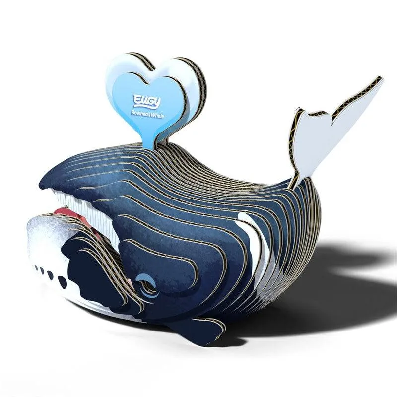 EUGY · Ballena de Groenlandia