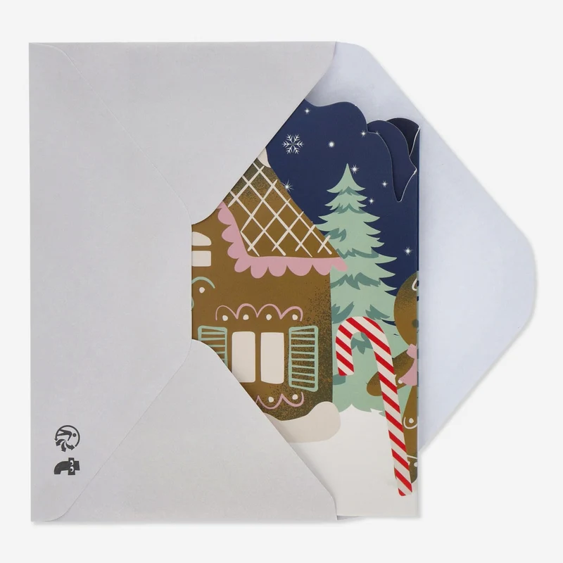 Fold-out card with envelope