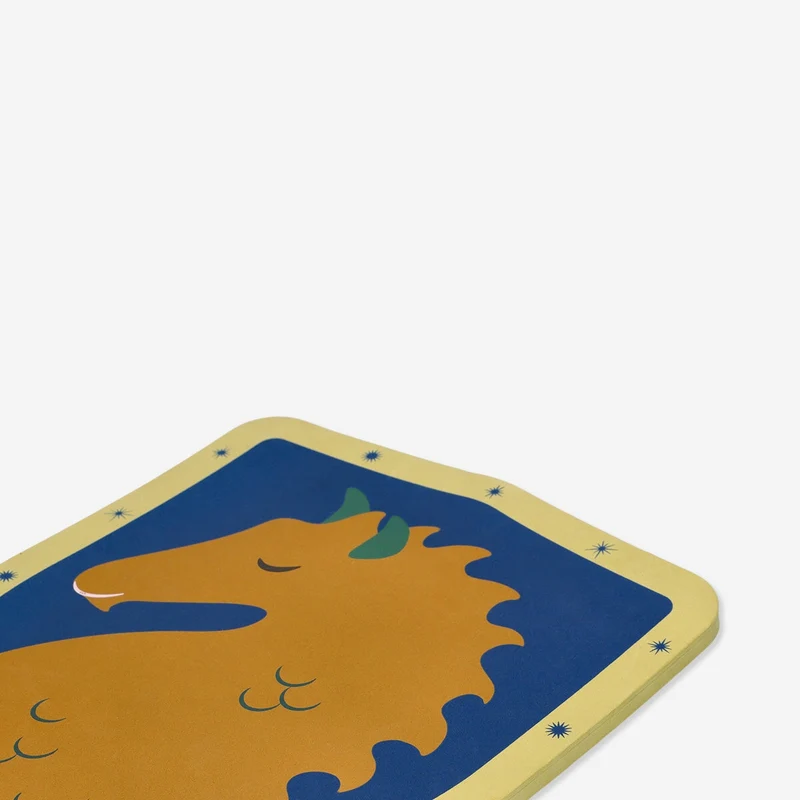 Foam shield