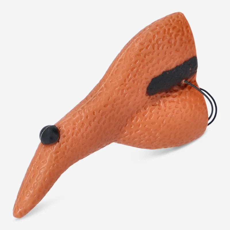 Witch's nose