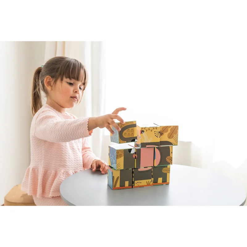 Goula - 9 Cubic Puzzle