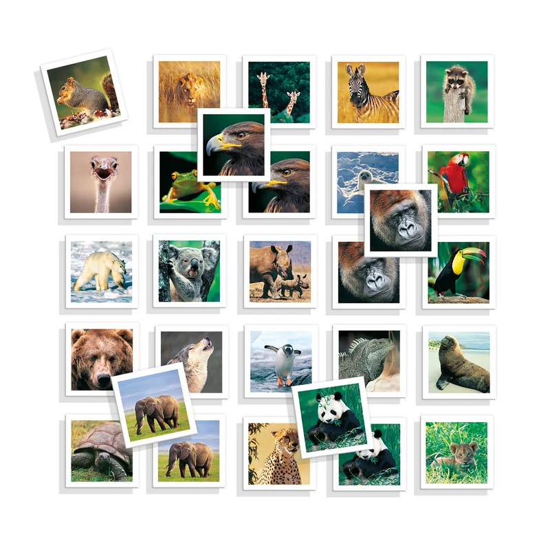 Yo Aprendo - Memo Photo Animals