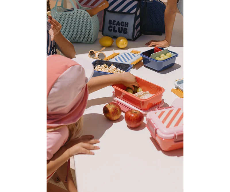 Caja Almuerzo Bento Stripes Blues & Beyond