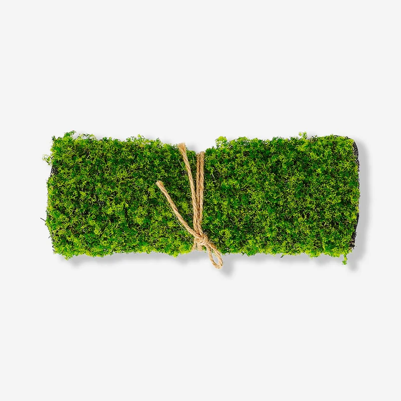 Decorative moss - 25x35 cm