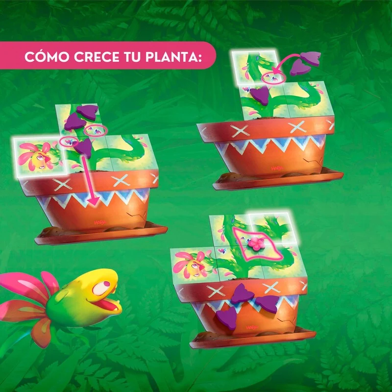 Carni Flora · HABA