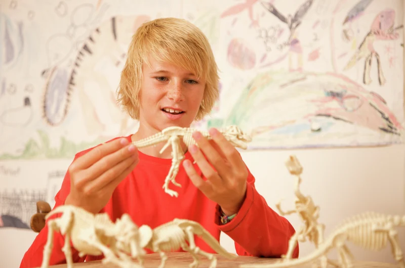 Kidz Labs Kit Geológico de un Tyrannosaurus Rex · 4M