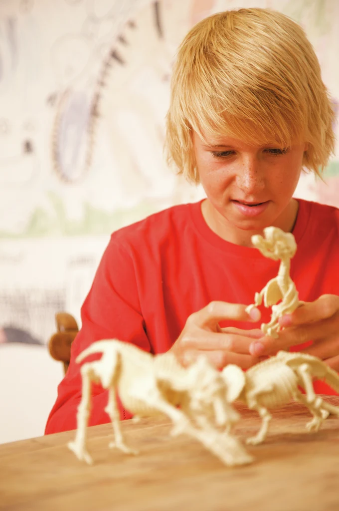 Kidz Labs Kit Geológico de un Triceratops · 4M