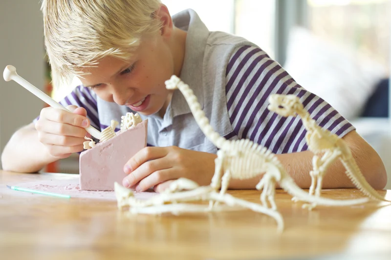 Kidz Labs Kit Geológico de un Triceratops · 4M