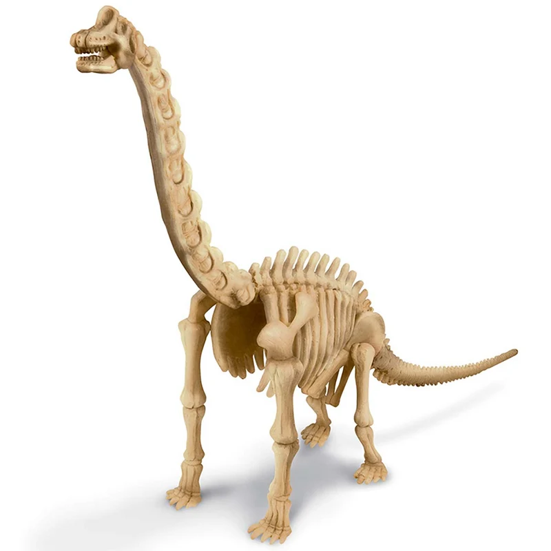 Kidz Labs Kit Geológico de un Brachiosaurus · 4M