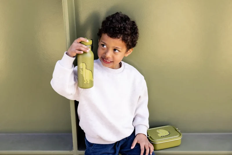 Botella Acero Mr. Dino 500ml · Trixie