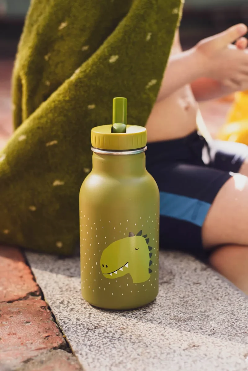 Botella Acero Mr. Dino 350ml · Trixie