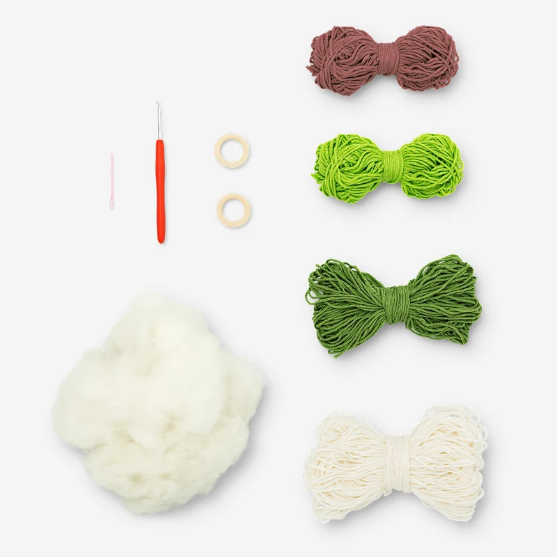 DIY crochet hanging plants kit