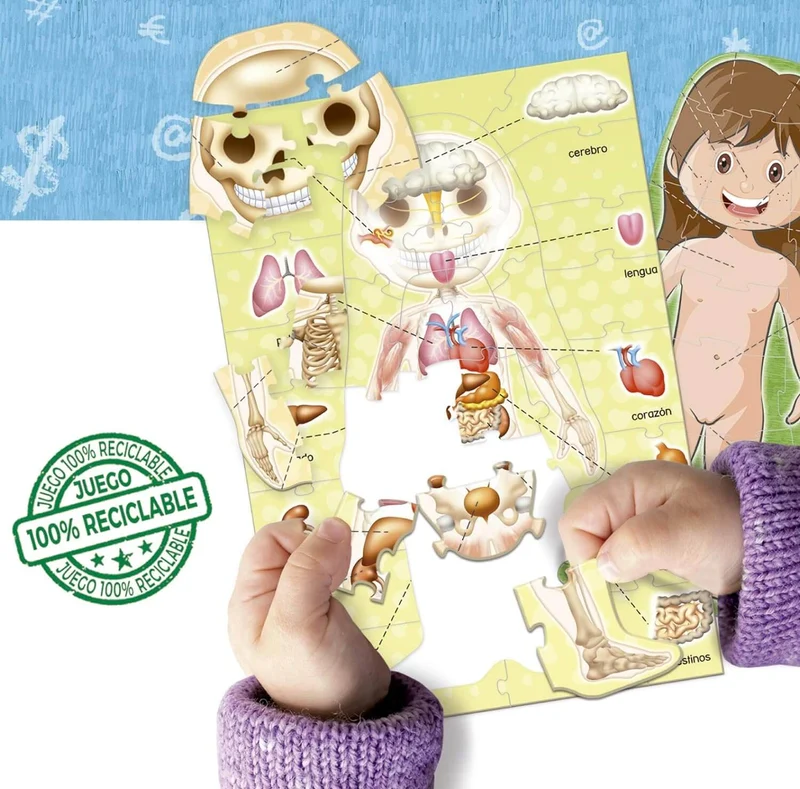 El Cuerpo Humano | Juego educativo | Desde 4 años | Educa