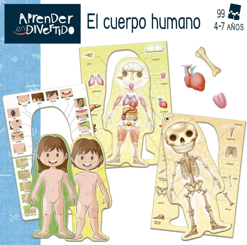 El Cuerpo Humano | Juego educativo | Desde 4 años | Educa