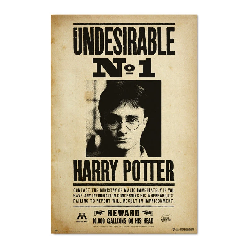 Póster Harry Potter Indeseable