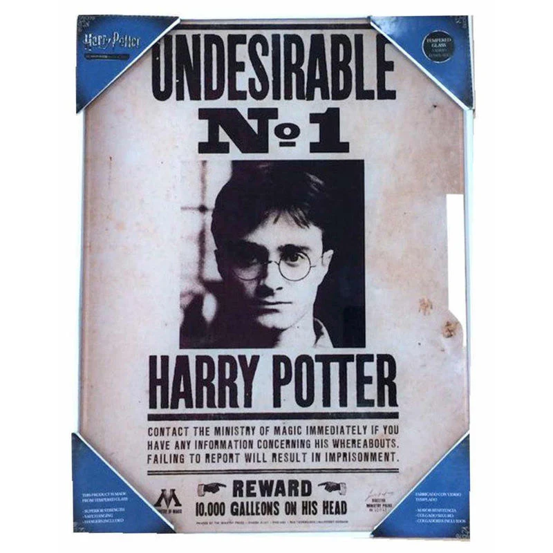 Póster de Vidrio Templado Harry Potter Indeseable