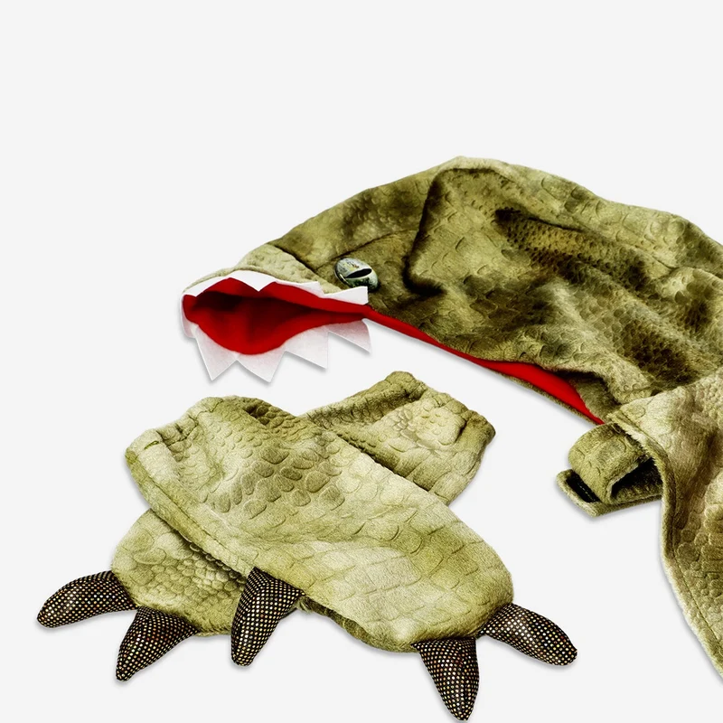 Dinosaur costume - 4 to 8 years