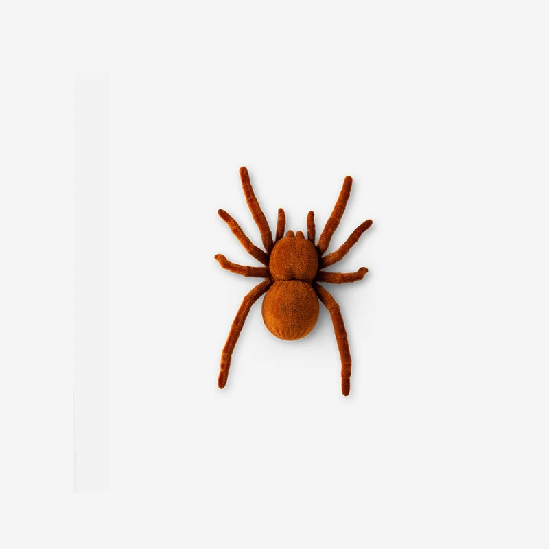 Moving spider