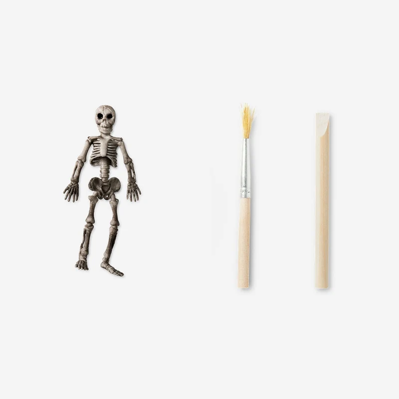 Excavation kit - Halloween skeleton