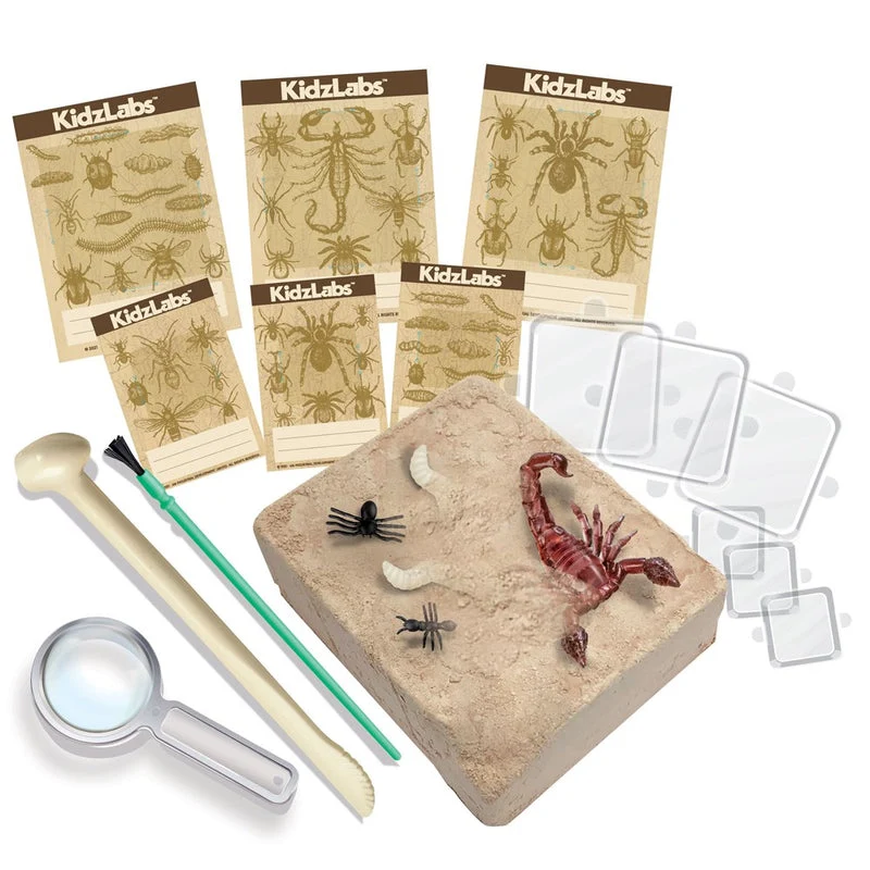 KidzLabs Excavación de Insectos · 4M