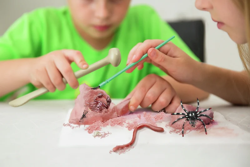 KidzLabs Excavación de Insectos · 4M