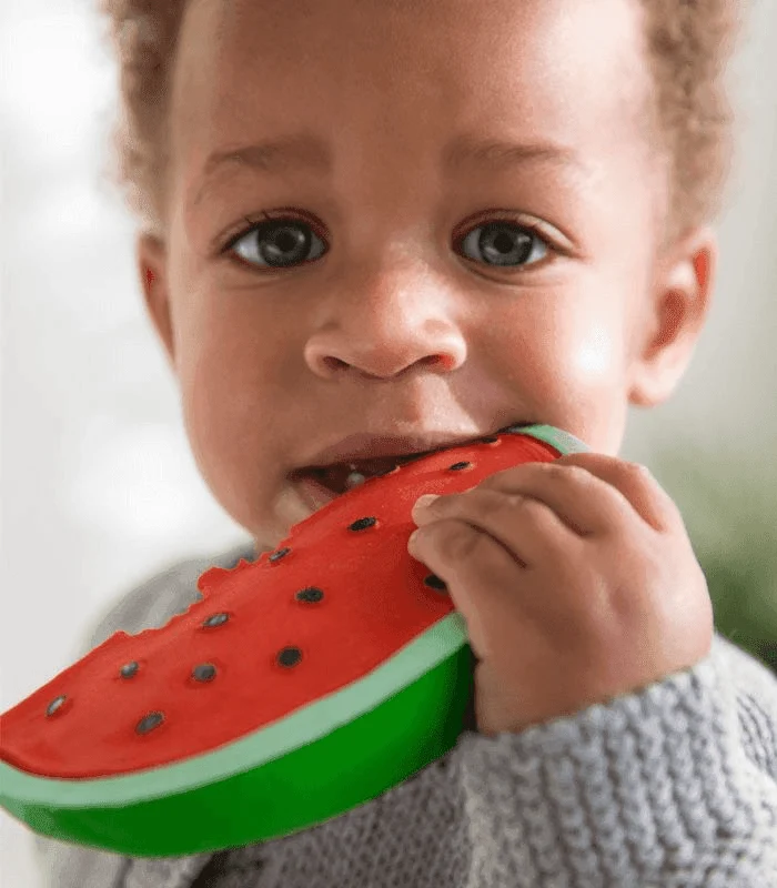 Wally the Watermelon