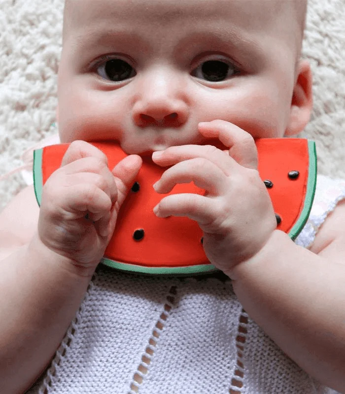Wally the Watermelon