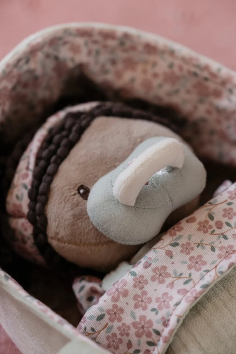 Bebé Evi Canastilla · Little Dutch