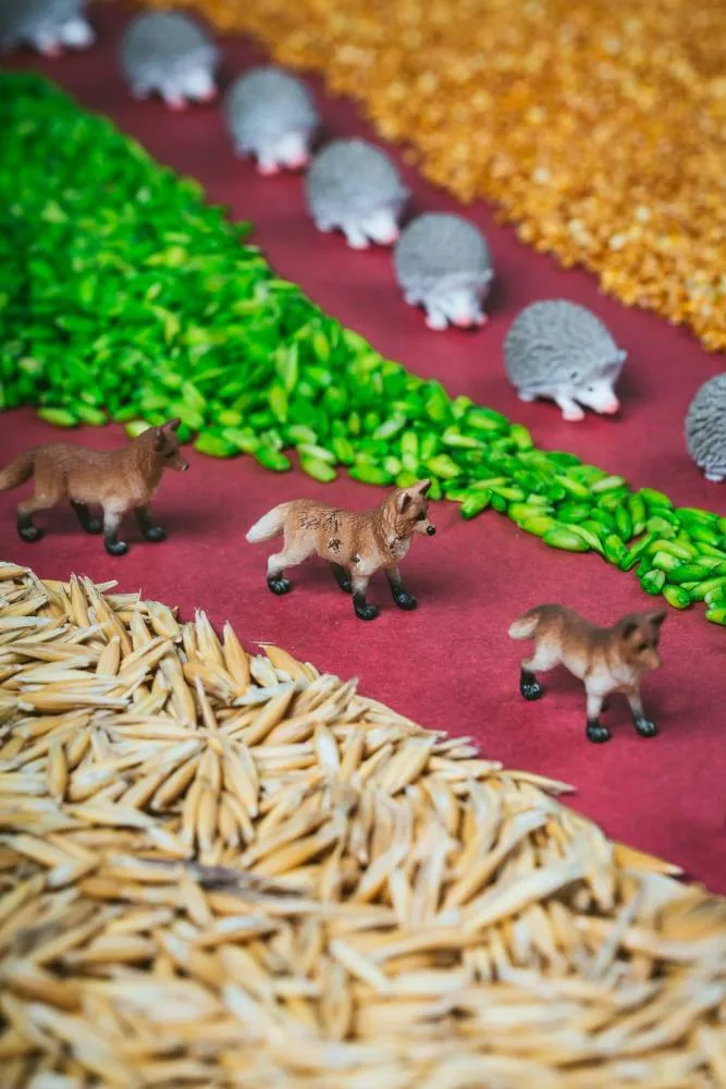 Petit Boum · Spy Bottle Forest