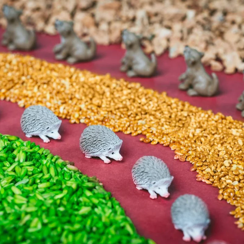 Petit Boum · Spy Bottle Forest