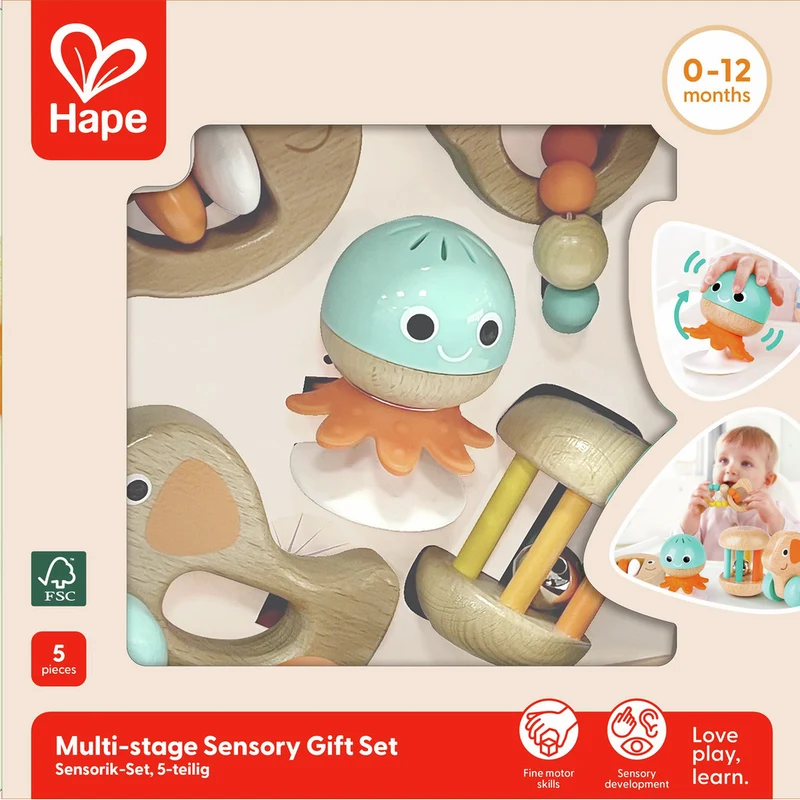Set Sensorial · Hape
